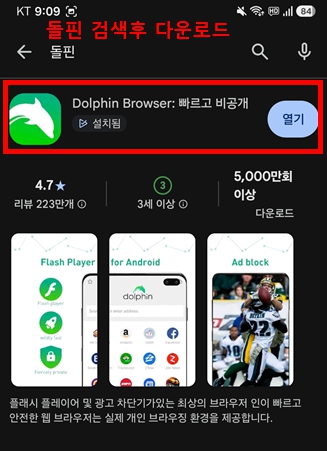 돌핀 브라우저 설치